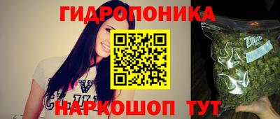 мяу мяу мука Лесосибирск