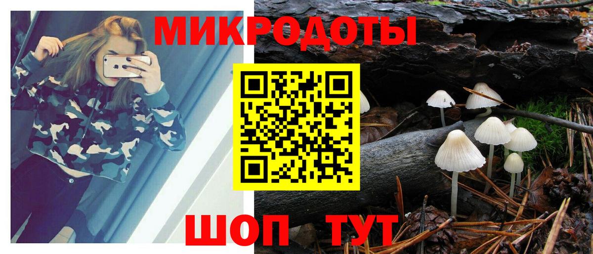 Псилоцибиновые грибы мухоморы  Вход с VPN  Вятские Поляны 